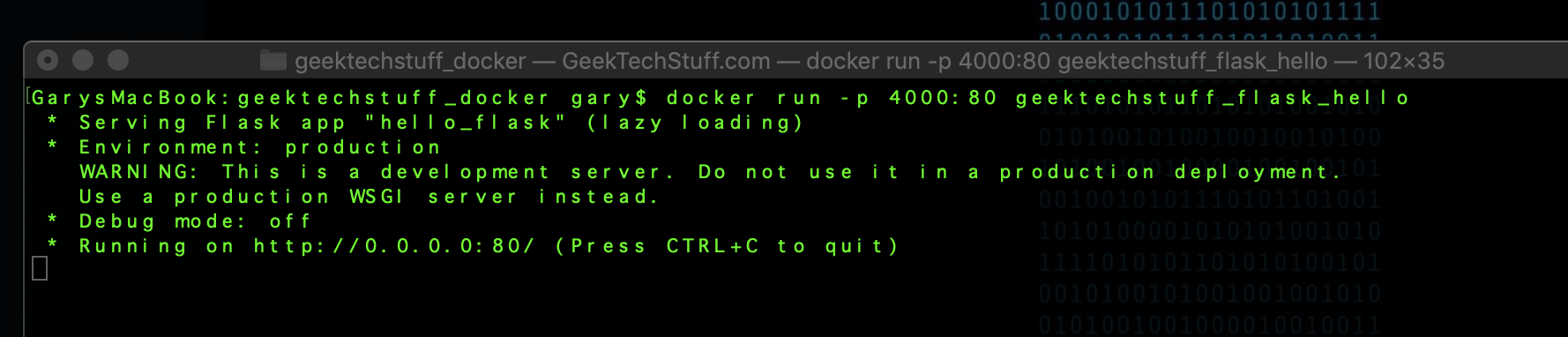 Docker Flask running