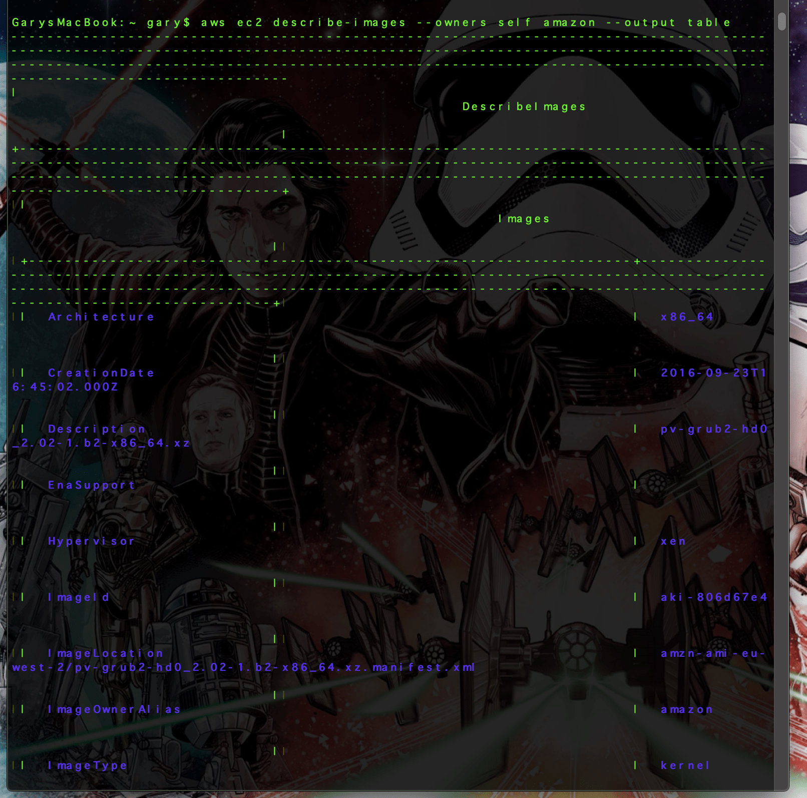 aws ec2 describe-images --owners self amazon --output table