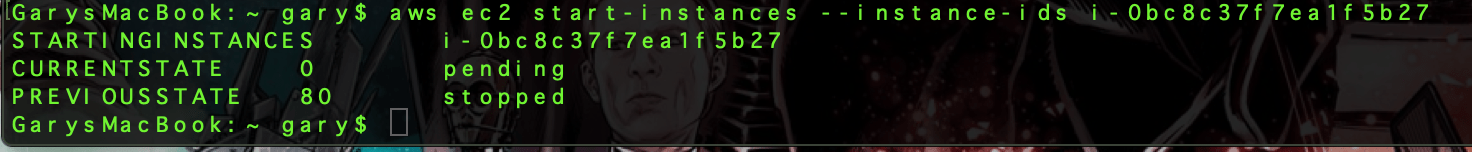 geektechstuff_aws_cli_launch_instance_9