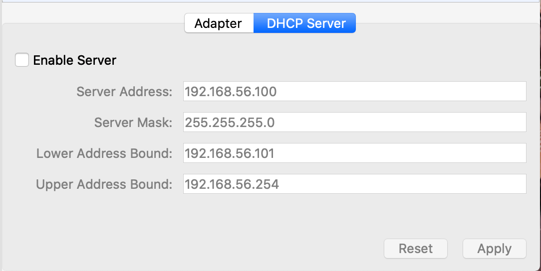 Virtual Box Adapter DHCP Options