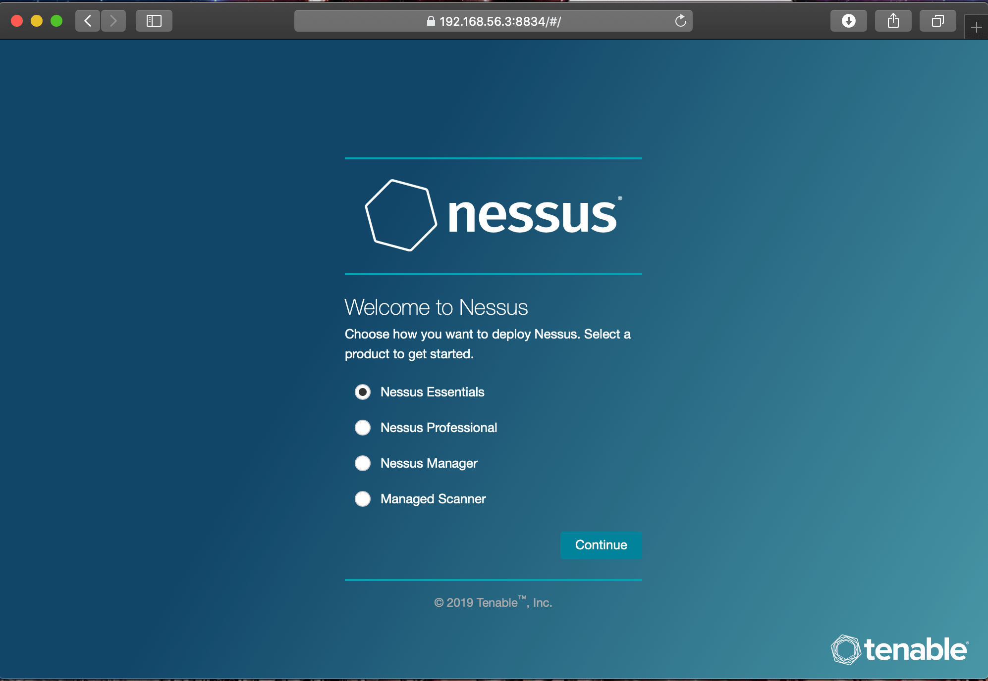 Confirm Nessus version