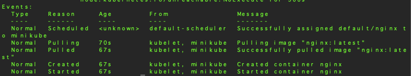 kubectl describe pods nginx